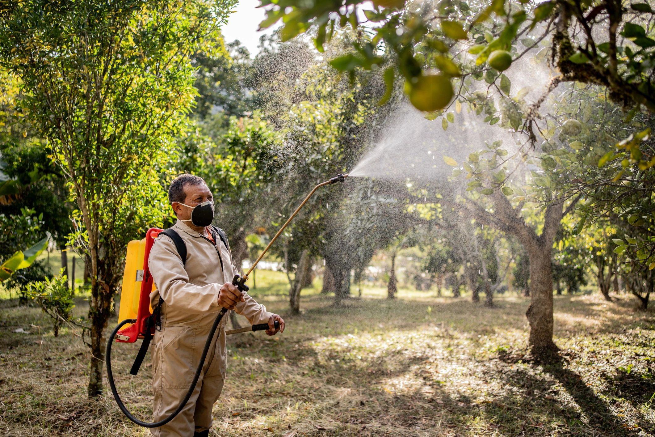 Technician applying a perimeter pest treatment outdoors