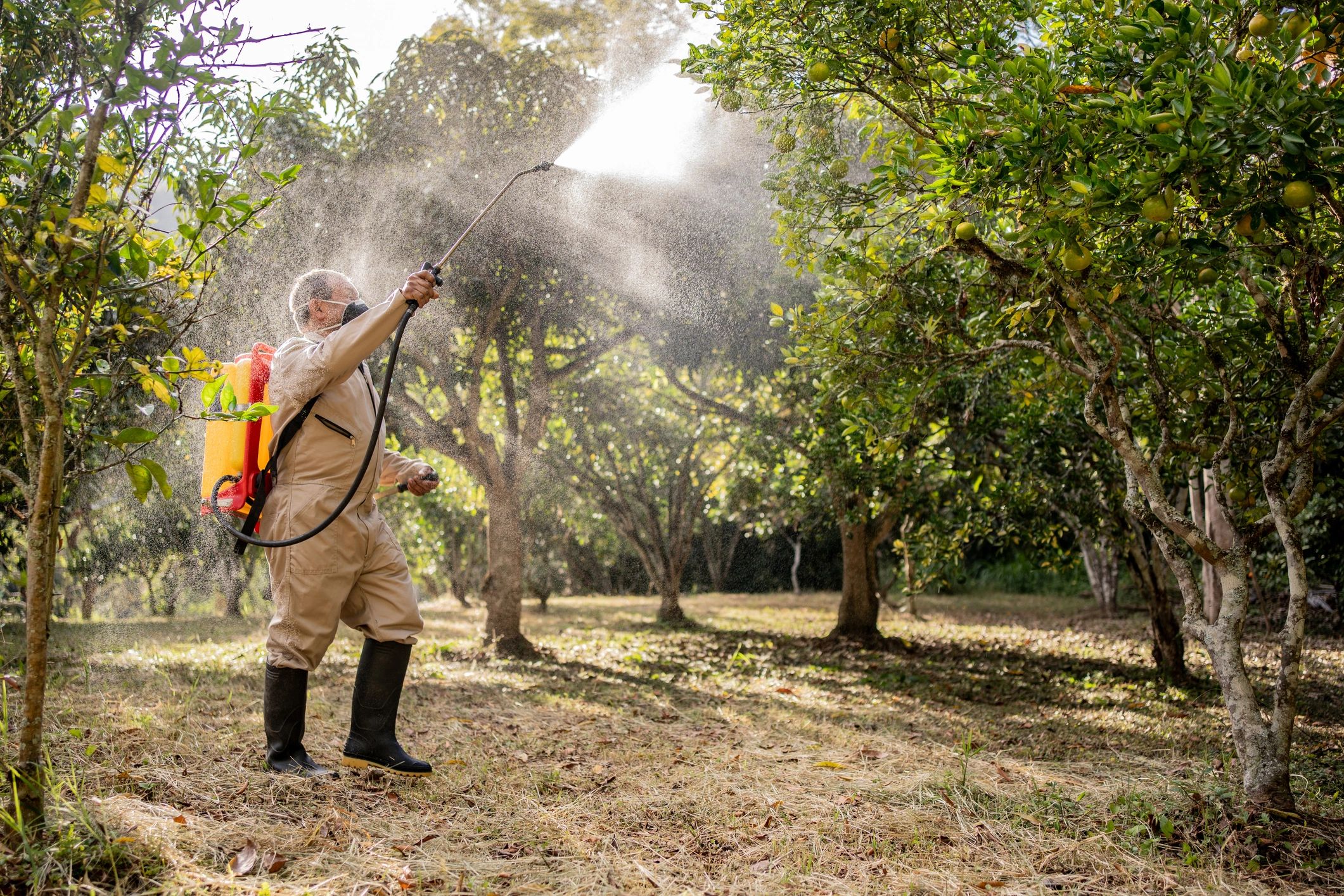 Pest control technician applying treatment